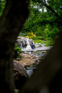 Minneapolis Wedding Photographer {Minnesota Landscape Arboretum}