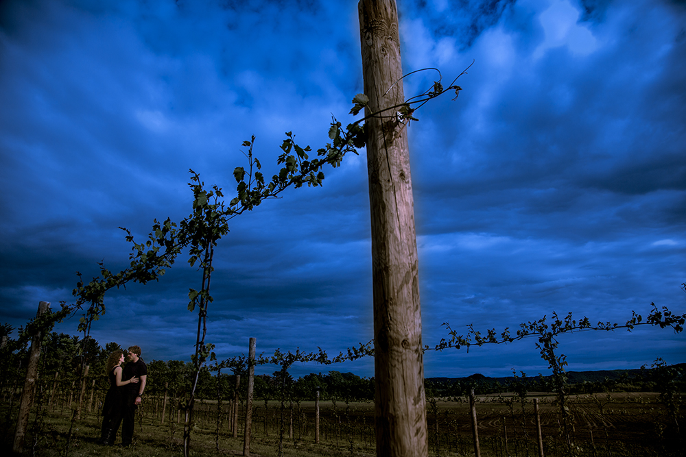 A wedding couple standing under a cloudy sky amidst a vineyard.