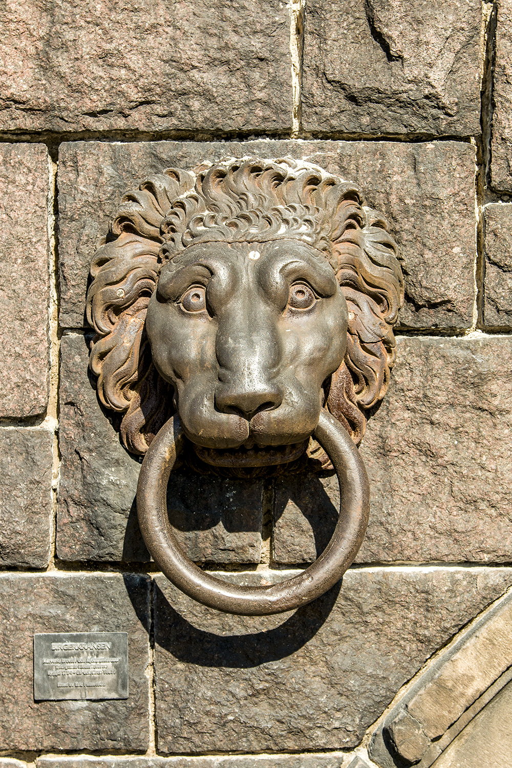Stockholm Stadshusparken lion