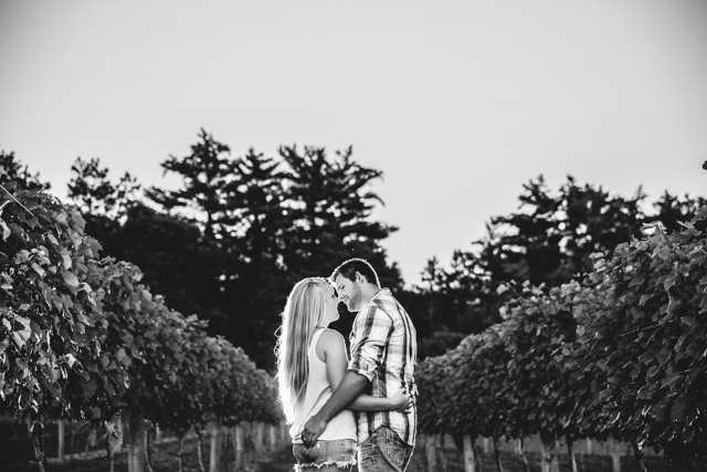 An engagement photo of a couple sharing a kiss amid the vineyard, shot in black and white.