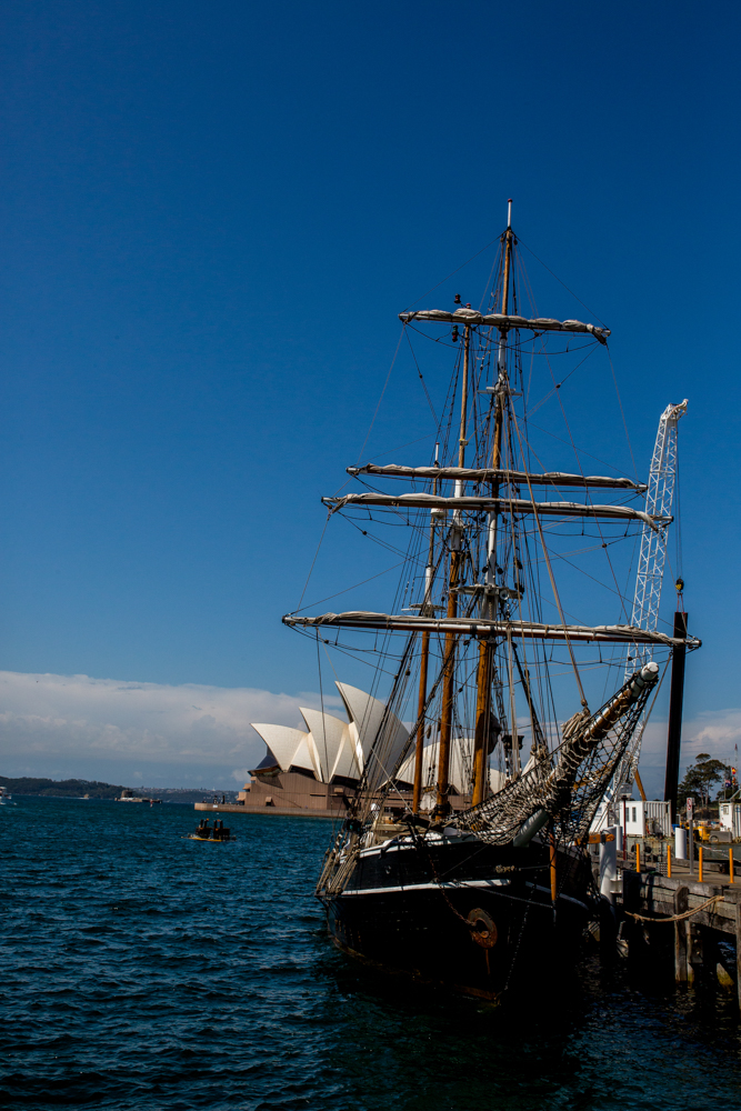 Sydney Travel Photos (11 of 24)