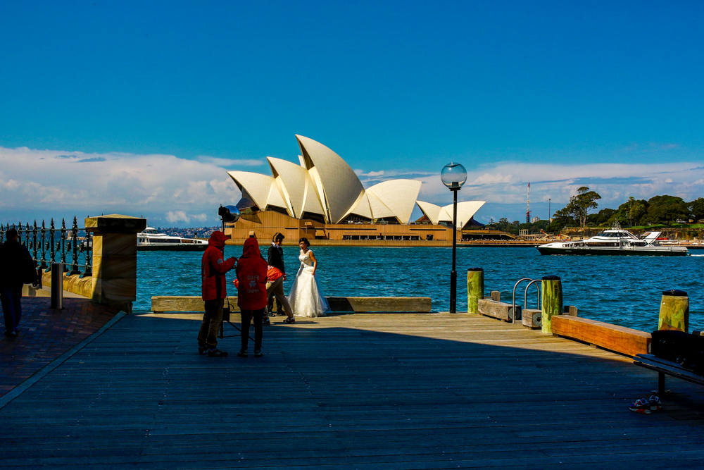 Sydney Travel Photos (14 of 24)