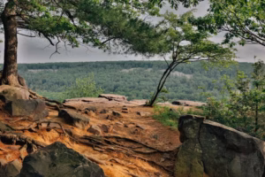 Rocky overlook with exposed tree roots and scattered boulders, surrounded by green trees and facing a dense forest under an overcast sky at Devils Lake.