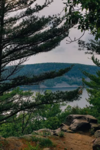 A tranquil view of Devils Lake framed by pine trees, with rocky terrain in the foreground and a forested hill rising under a cloudy sky.