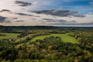 A landscape view of a forest near Devils Lake, with various shades of green trees and open grassy clearings under a partly cloudy sky.