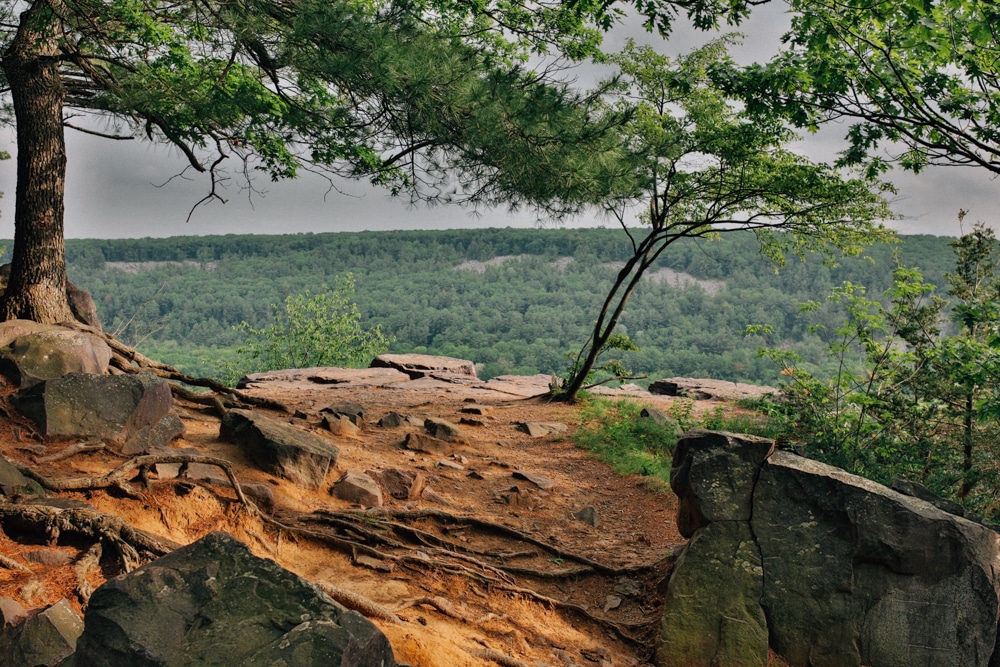 A tree sits on top of a rocky cliff overlooking Devils Lake.