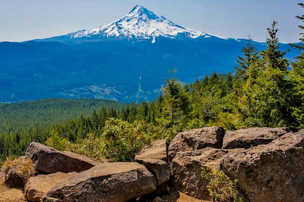 A picturesque view of Mt Hood along a scenic hiking trail.
