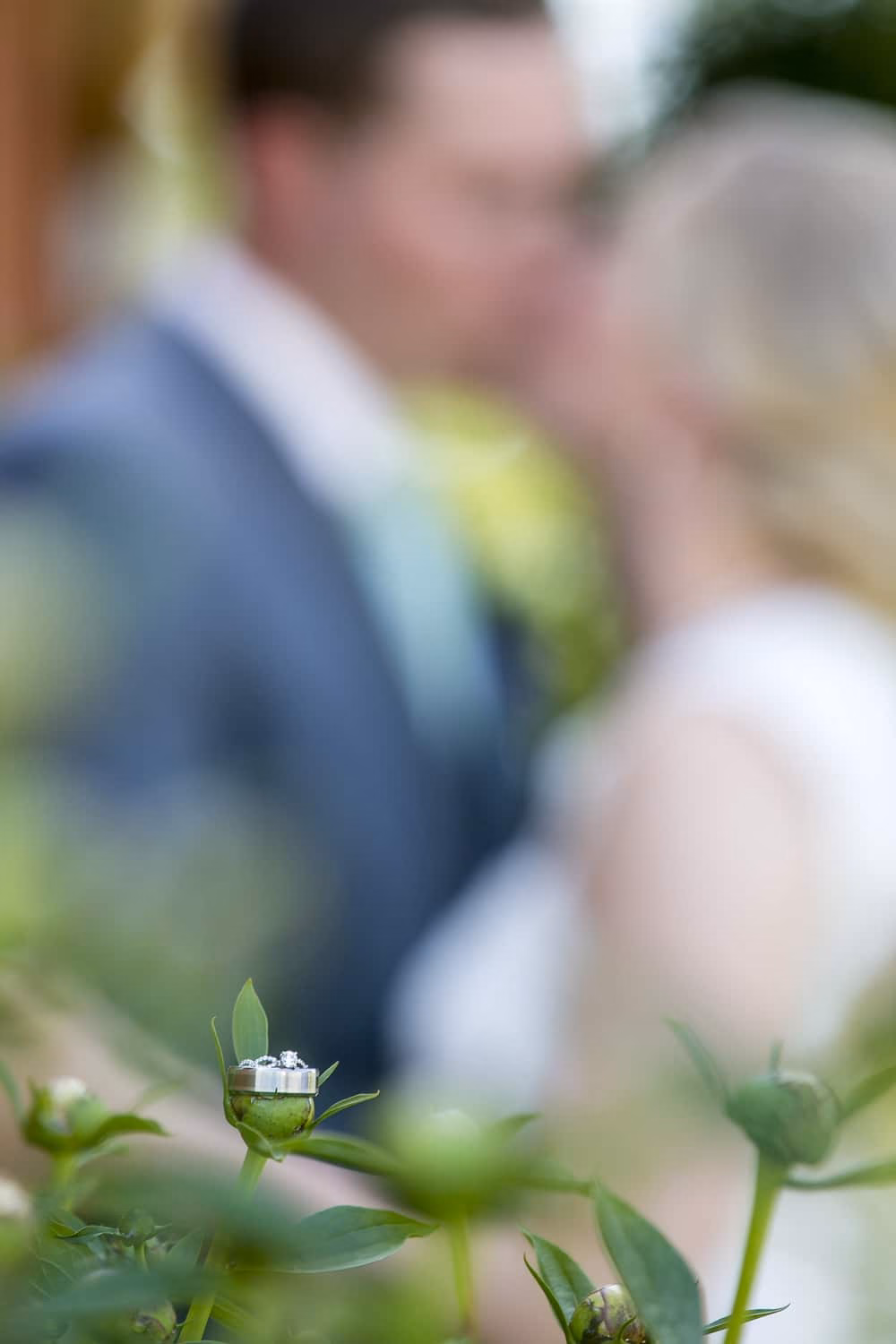 A pair of wedding rings rest on a flower bud in focus, captured beautifully by Madison Wedding Photography, with a bride and groom kissing in the blurred background.