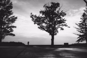 A black-and-white photo by an Eau Claire Wedding Photographer captures two people standing close together in the distance, framed by large trees under a cloudy sky.
