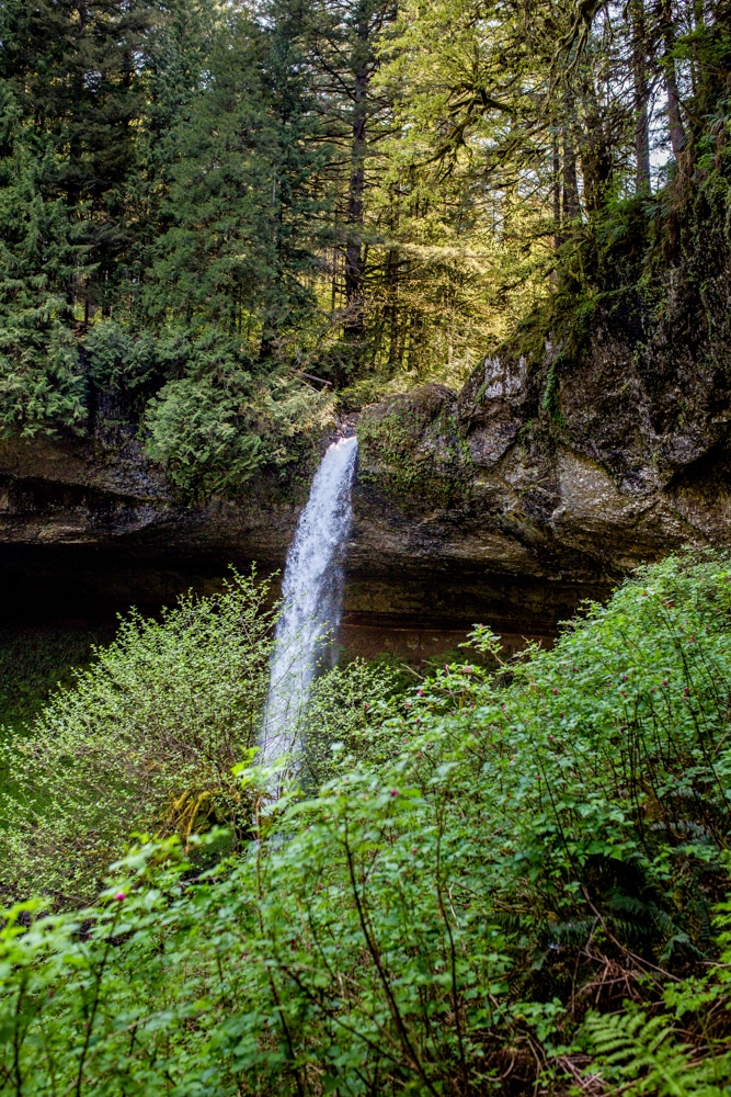 Silver Falls State Park OR 0093