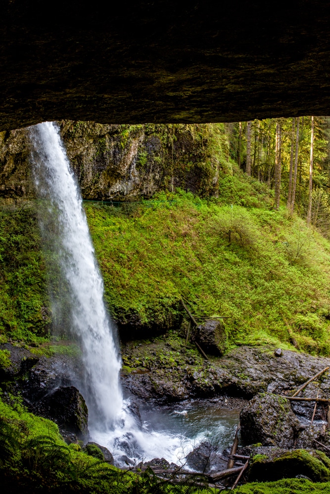 Silver Falls State Park OR 0097