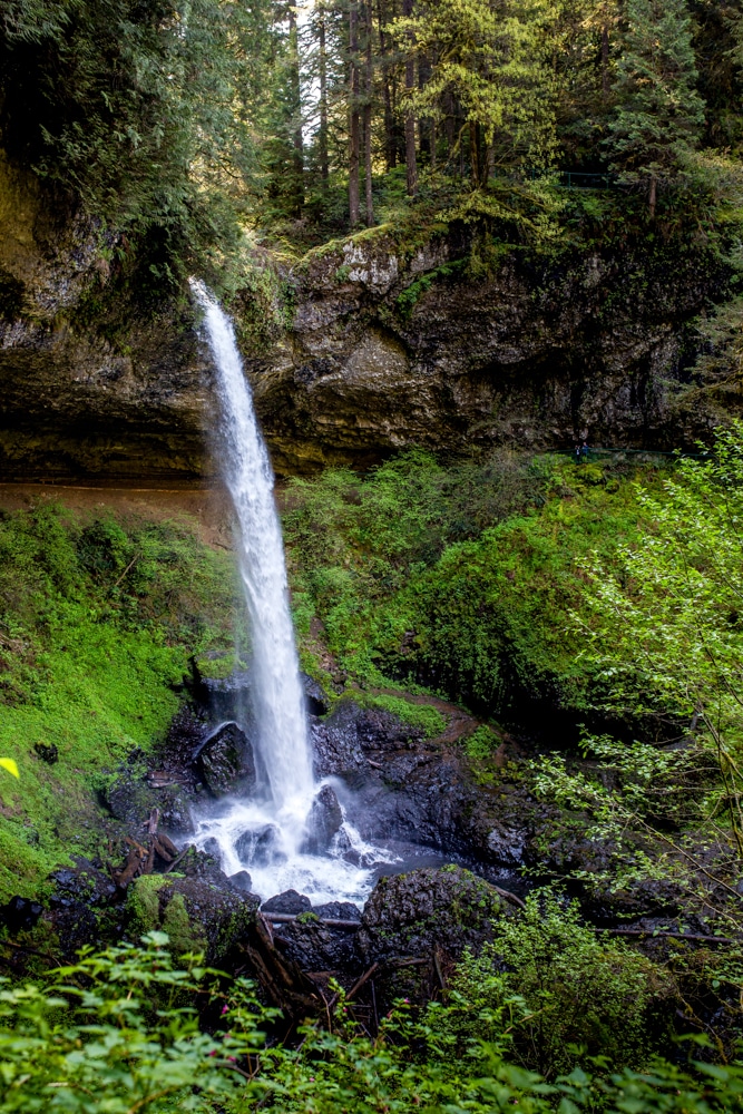 Silver Falls State Park OR 0100