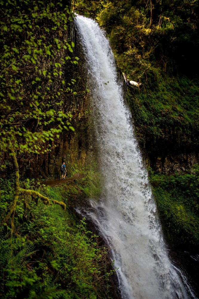 Silver Falls State Park OR 0109