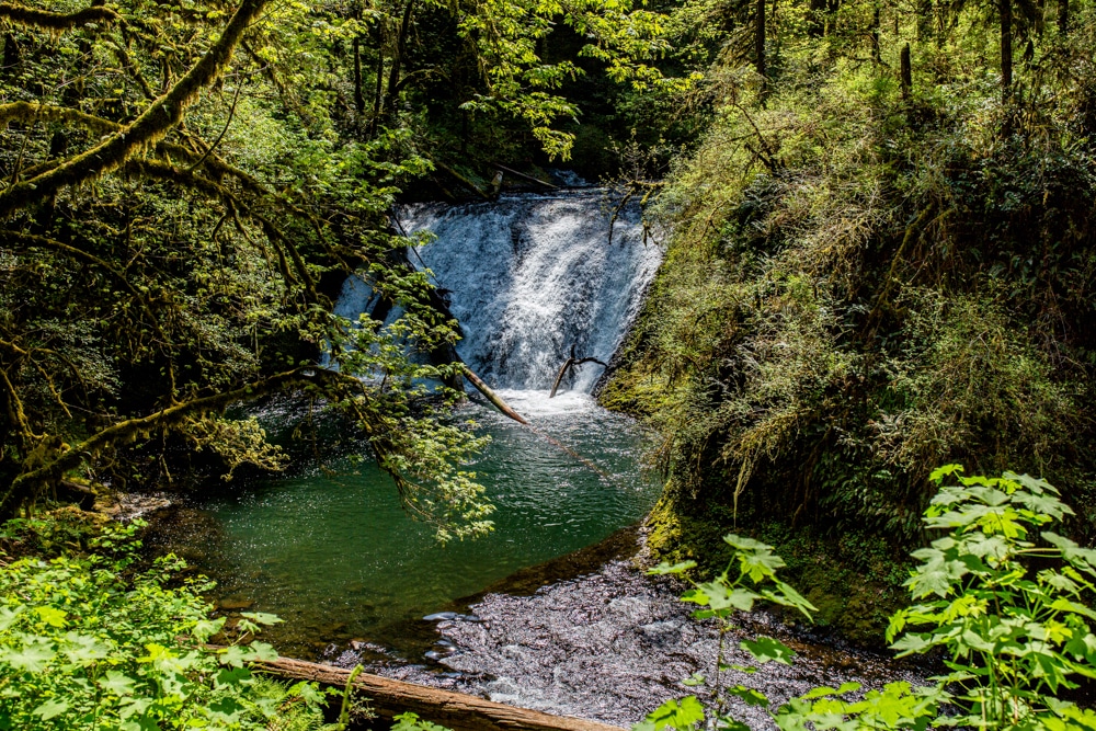 Silver Falls State Park OR 0120