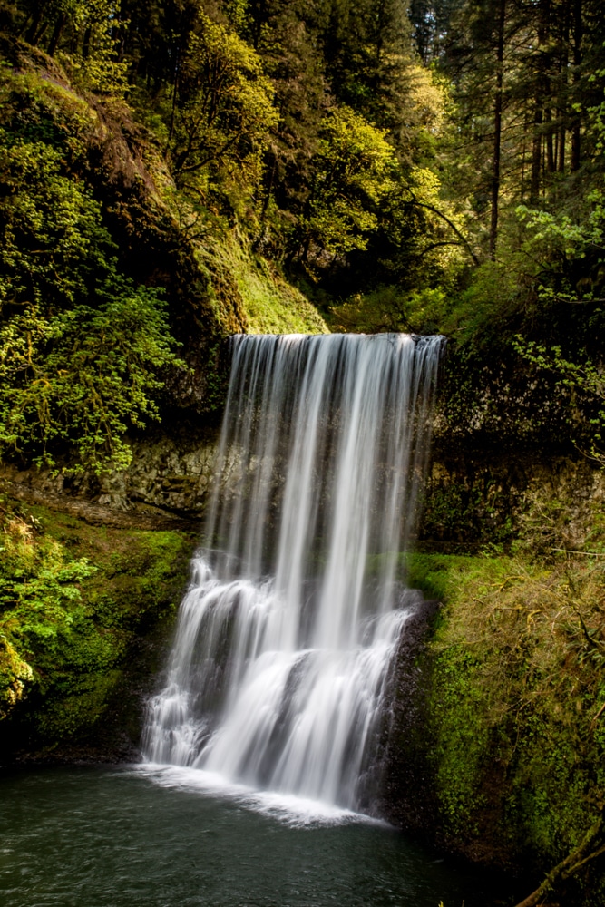 Silver Falls State Park OR 0126