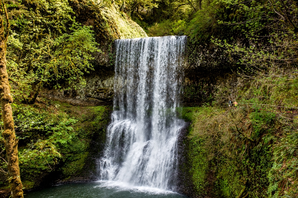 Silver Falls State Park OR 0127