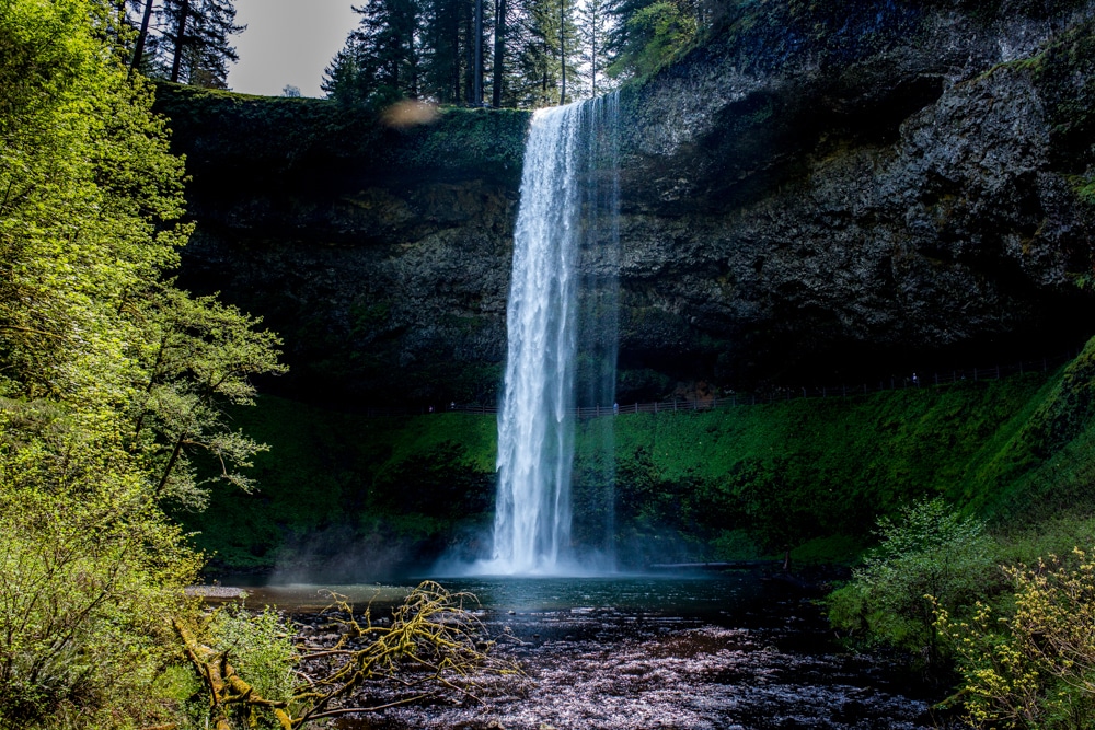 Silver Falls State Park OR 0128