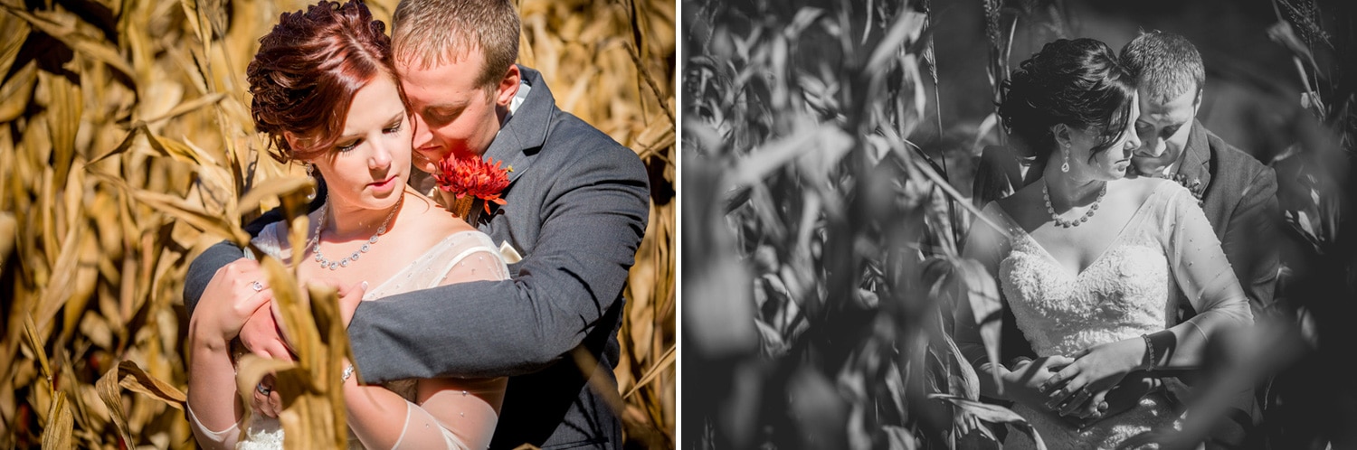 wedding couple in corn maze