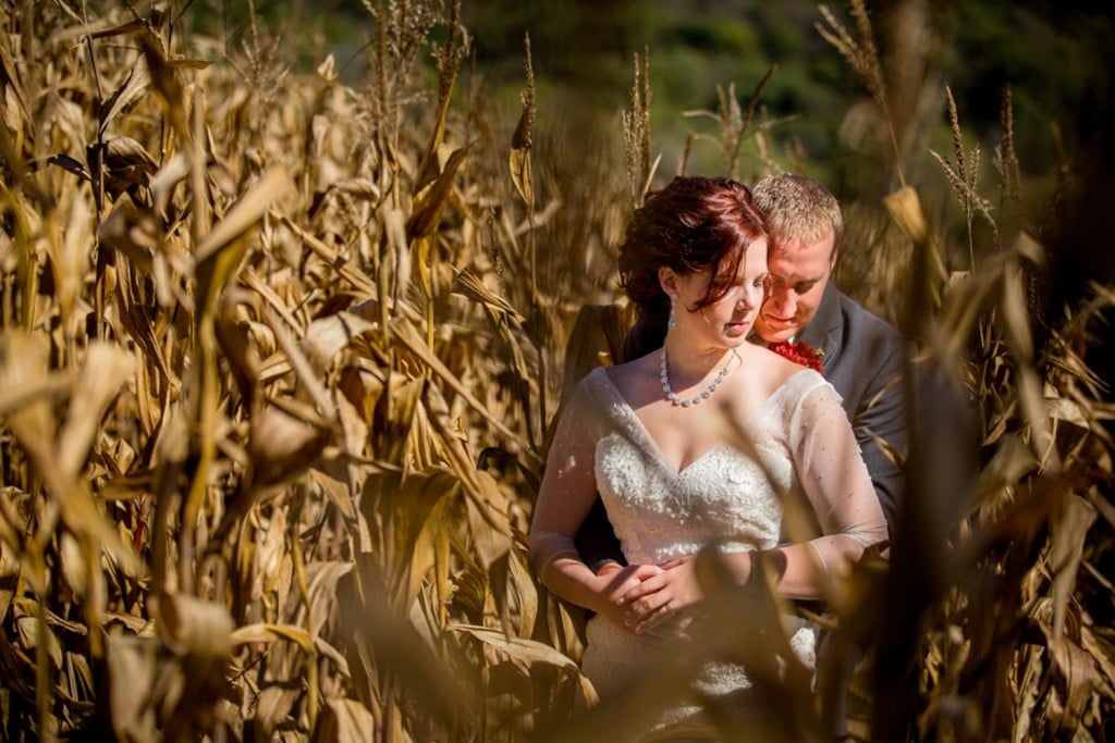 Rushford wedding photographer capturing a loving embrace of a bride and groom in a corn field.