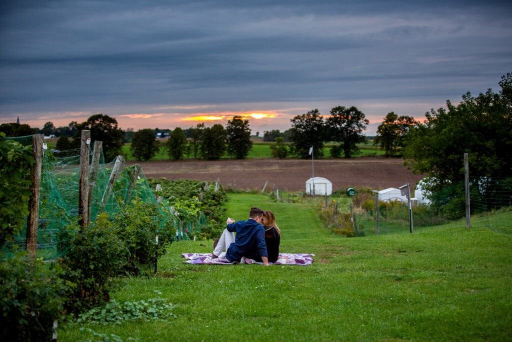 A couple embracing on a blanket in a Milwaukee field at sunset, captured by a talented wedding photographer.