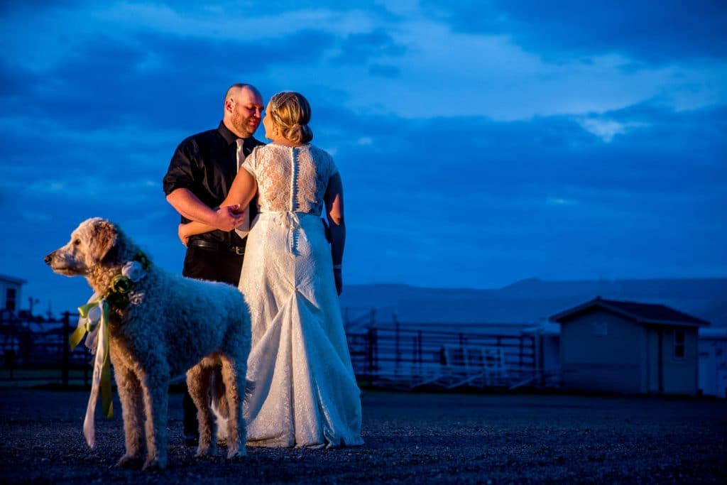 A Marshfield Wedding Photographer capturing a bride and groom with a dog at dusk.
