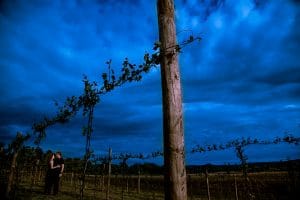 A beautiful couple standing in a picturesque vineyard under a cloudy sky on their wedding day.