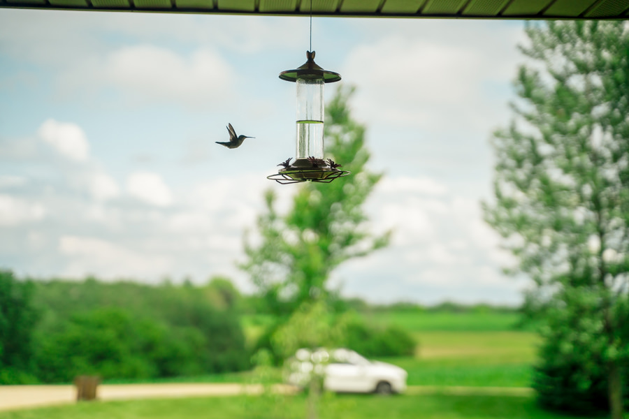 A hummingbird is flying over a bird feeder.