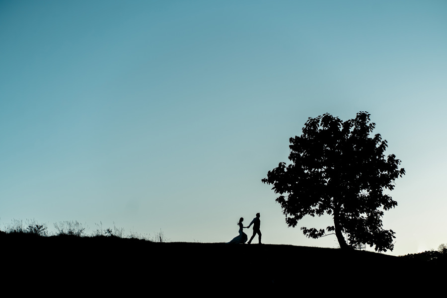 A silhouette of a bride and groom standing on top of a hill.