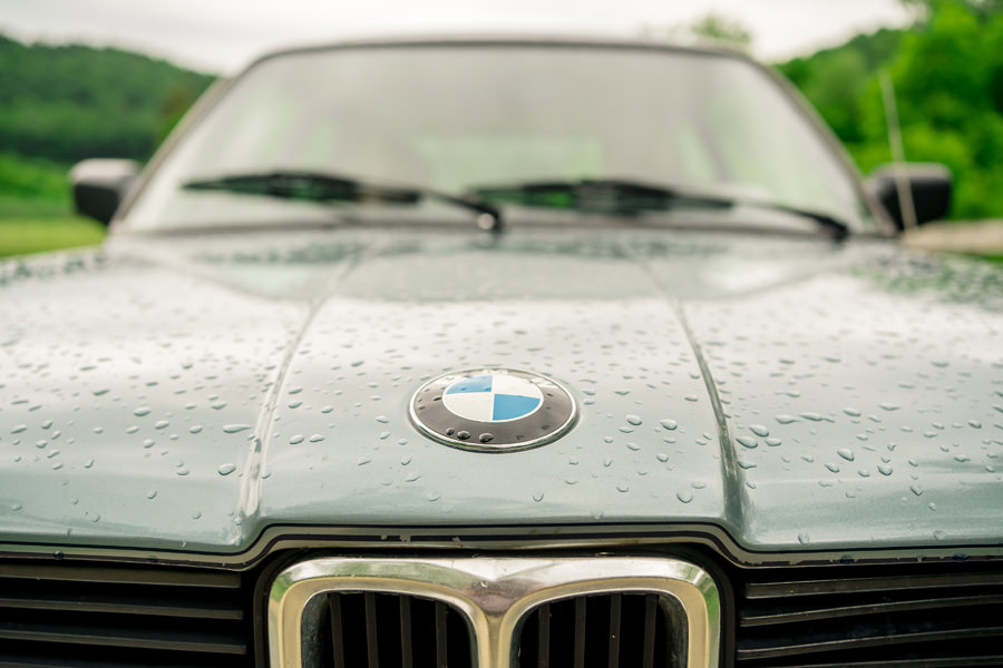 The bmw logo on the hood of a green car.