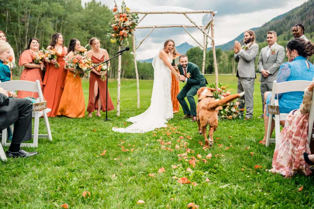 A wedding ceremony with a dog in the background.
