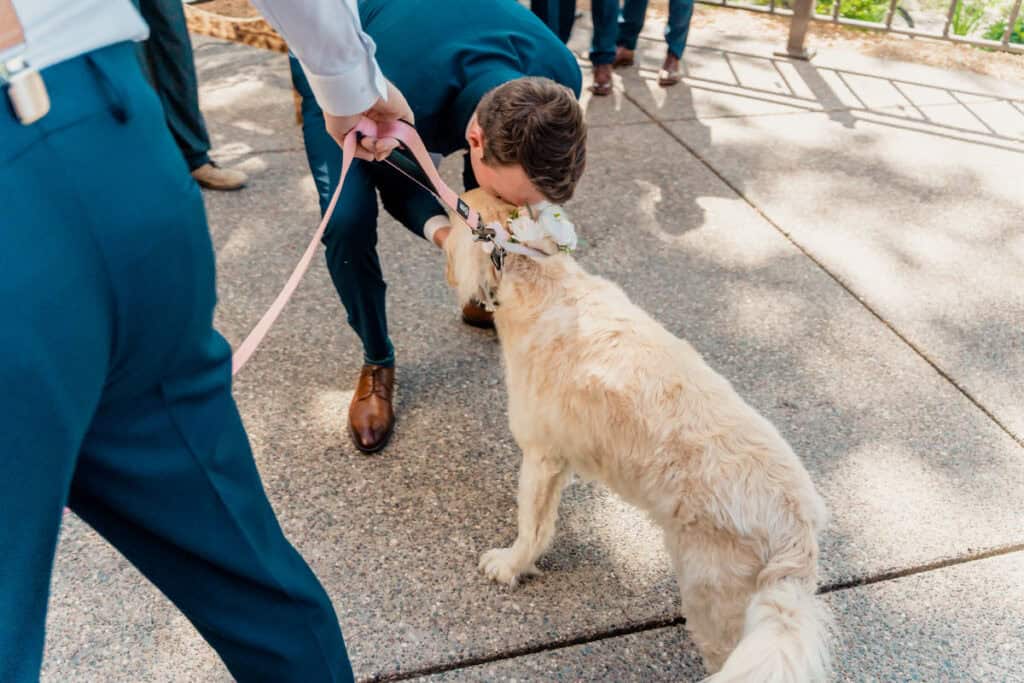 Groom petting a dog on a leash.