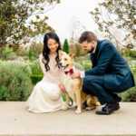 A bride and groom petting a dog in a garden.