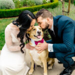 A bride and groom kissing their dog at their wedding.