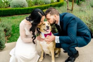 A bride and groom kissing their dog at their wedding.