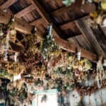 A room filled with dried leaves hanging from the ceiling.