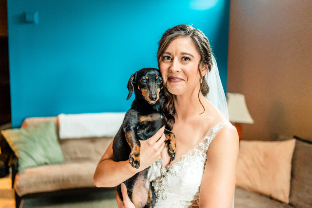A bride holding a dachshund in her lap.