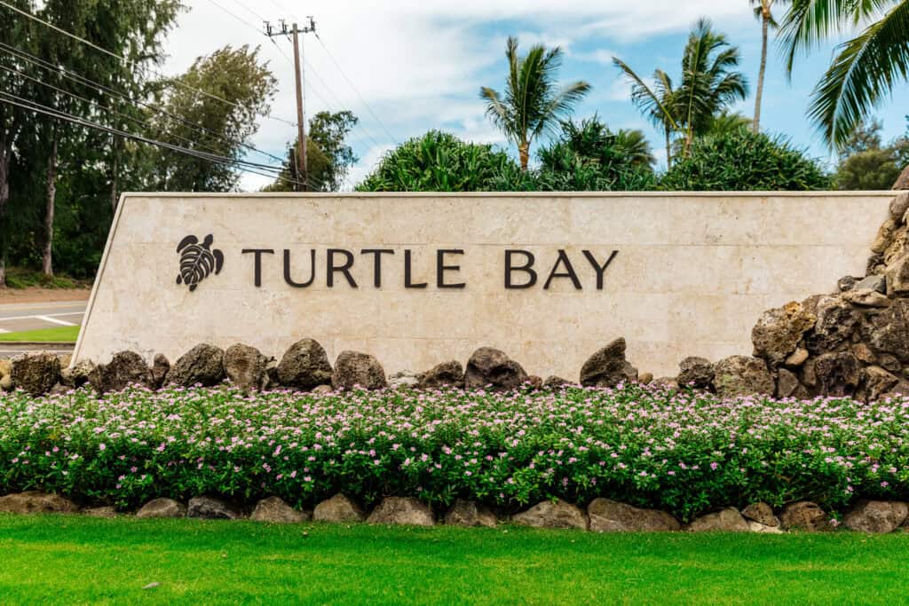 A sign reading "Turtle Bay" is mounted on a stone wall, surrounded by greenery and flowers with palm trees in the background.