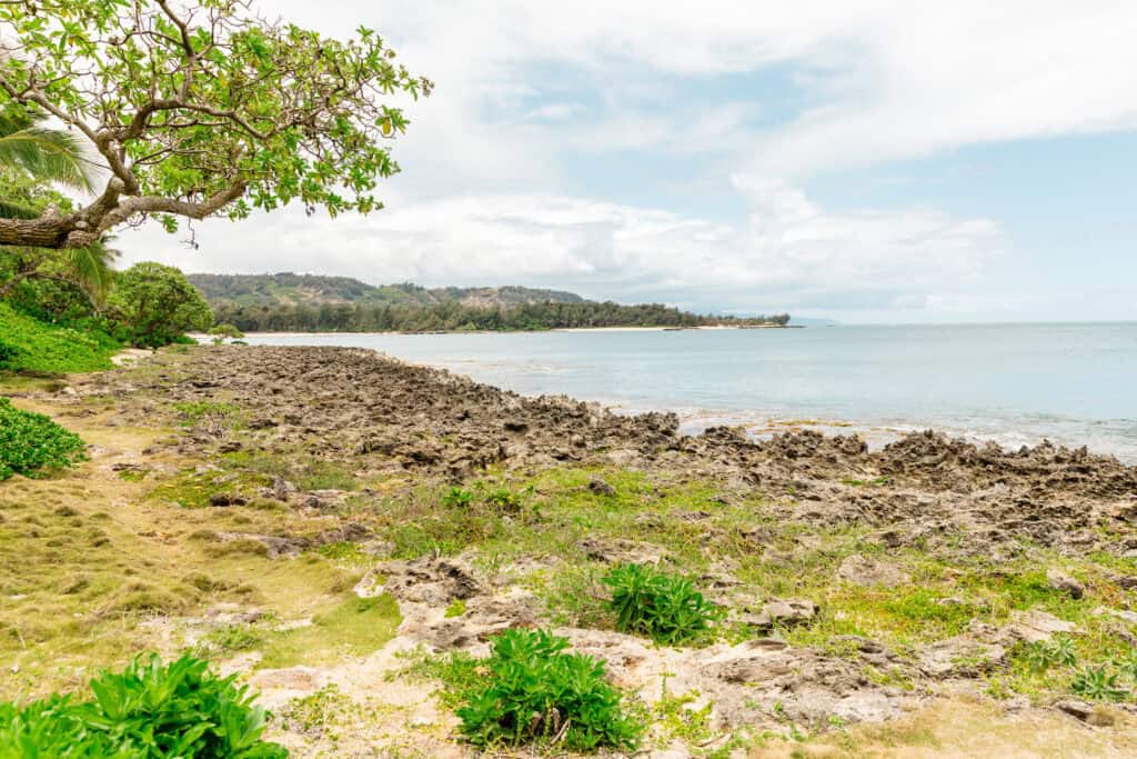 A rocky shoreline with sparse vegetation and a tree in the foreground, leading to a calm sea under a partly cloudy sky.