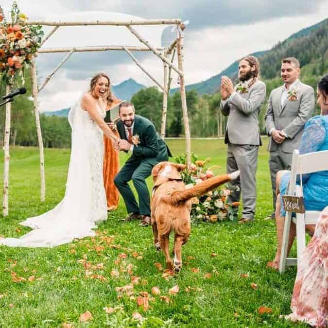 A wedding ceremony with a dog in the background.