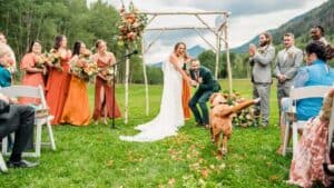 A wedding ceremony with a dog in the background.