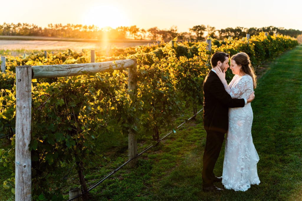 A couple in formal attire embraces in a vineyard at sunset, with rows of grapevines and a glowing sun in the background.