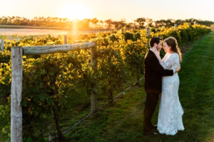 A couple in formal attire embraces in a vineyard at sunset, with rows of grapevines and a glowing sun in the background.