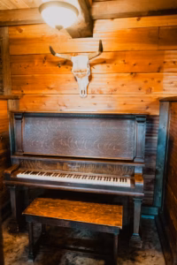 An upright piano with a matching bench stands against a wooden wall, with a mounted cow skull hanging above it under a ceiling light.
