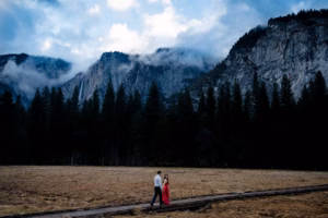 Two people walk on a wooden path through a field with pine trees and misty mountains in the background under a cloudy sky.