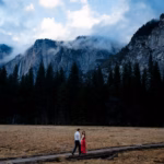 A man and woman walk on a wooden path through a field with tall pine trees and misty mountains in the background.